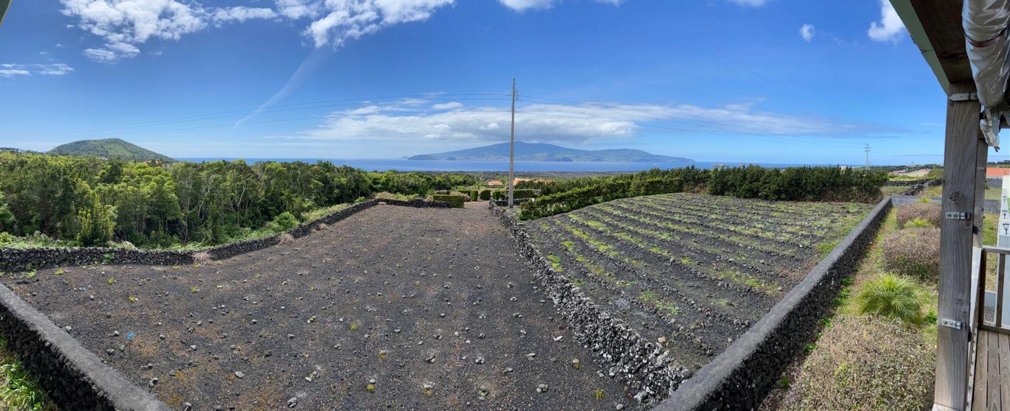Al Novavista By A5P Madalena (Azores) Exterior foto