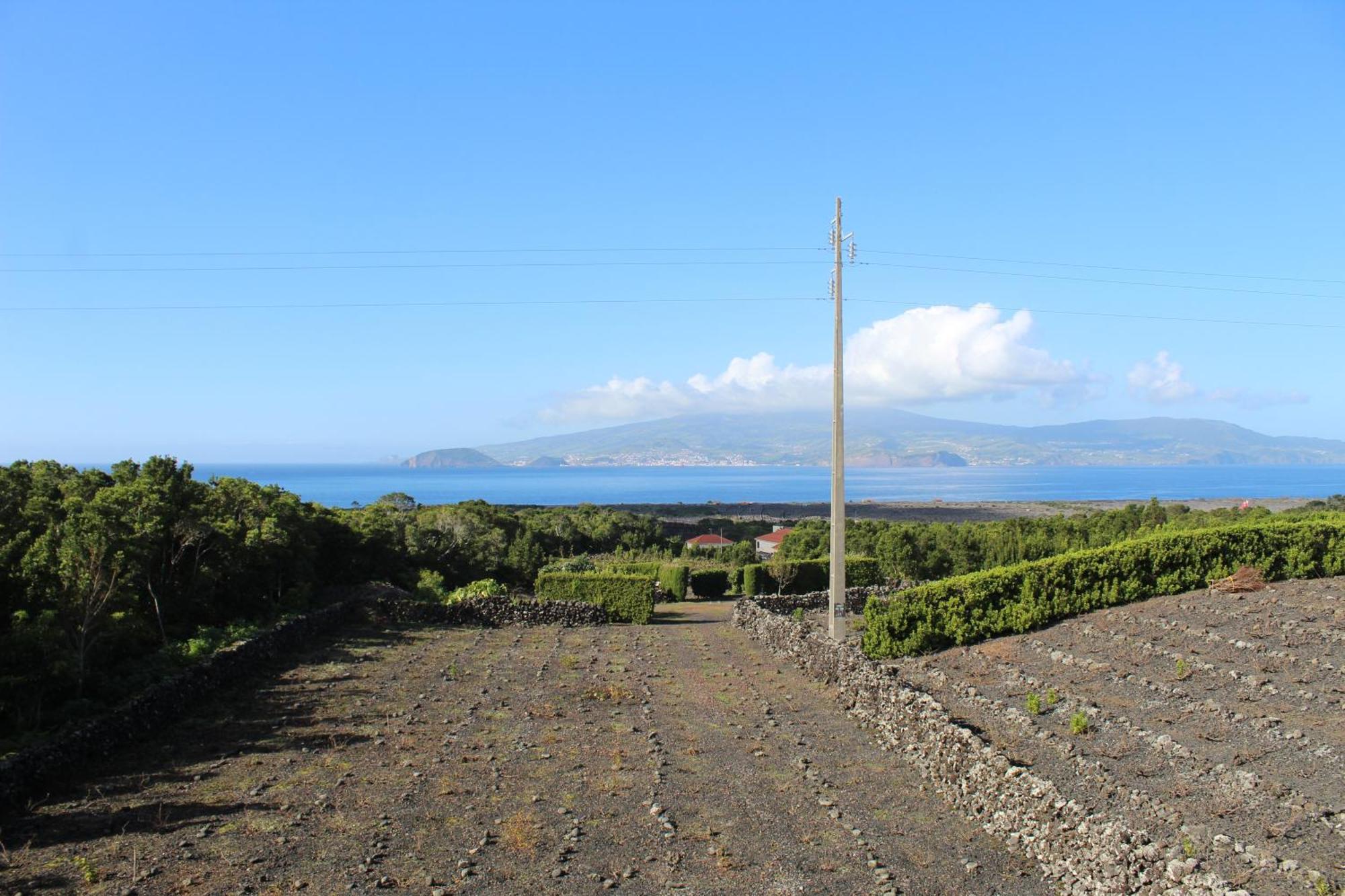 Al Novavista By A5P Madalena (Azores) Exterior foto